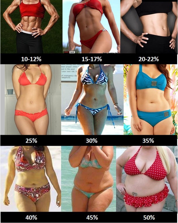 pourcentage de masse grasse des femmes