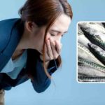 Qu'est-ce que l'intoxication scombroïde?